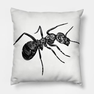 Ant Pillow