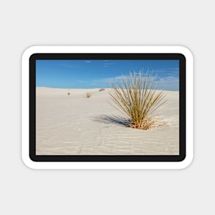 Yucca at White Sand Magnet