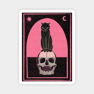 Cat sitting on skull black and pink Magnet