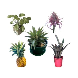 Assorted house plants and pineapple photo design T-Shirt