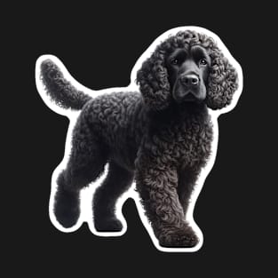 American Water Spaniel T-Shirt