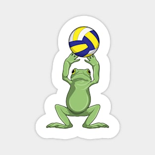 Frog with Volleyball Magnet