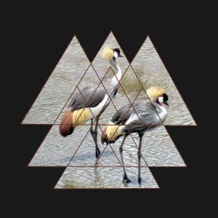 Crown crane - Birds in Kenya / Africa with Graphic T-Shirt