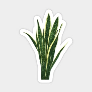 Snake Plant Magnet