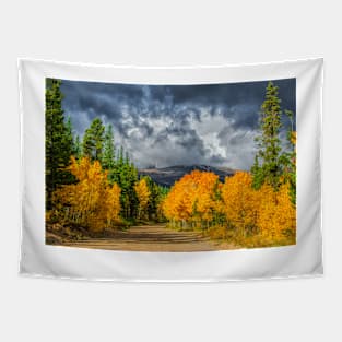 Changing Of The Colors - Colorado's New Coat Tapestry