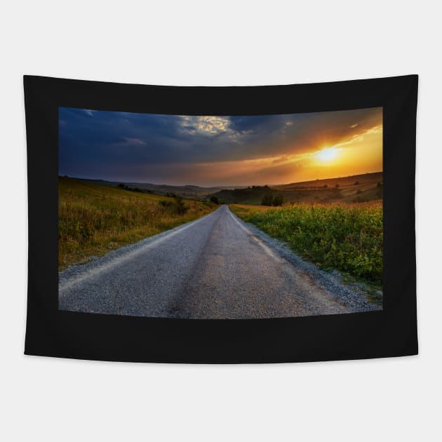 Road through corn fields at sunset Tapestry by naturalis