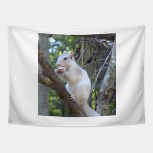 White Squirrel Tapestry