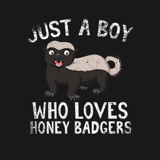 Just A Boy Who Loves Honey Badgers T-Shirt