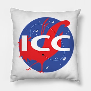 ICC SPACE PROGRAM Pillow