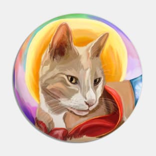 Cat's Ascension to Rainbow Bridge Pin