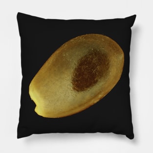 Star anise (Illicium verum) seed under the microscope Pillow