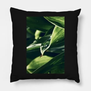 Green Wall Art.Leaf and Drop. Pillow