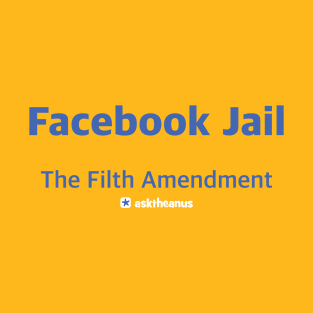 Facebook Jail - The Fifth Amendment T-Shirt