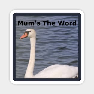 A Mute Swan Magnet