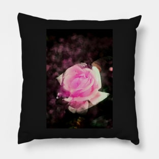 Rose 149 Pillow