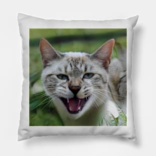 Kity3 Pillow