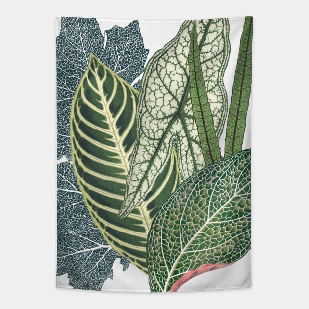 Green tropical leaves Tapestry by CatyArte