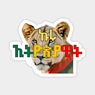 ኩሩ- ኢትዮጵያዊት Magnet