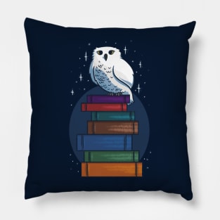 An Owl with the Way to Magic Pillow