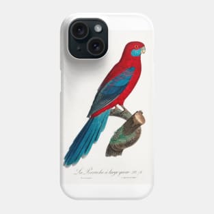 Crimson Rosella from Natural History of Parrots (1801—1805) by Francois Levaillant. Phone Case