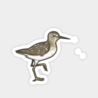 Solitary Sandpiper Magnet