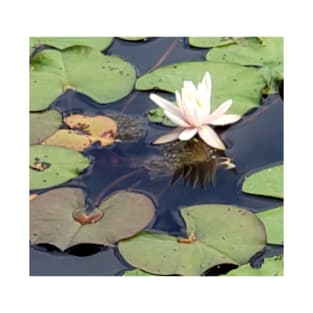 Lispe White Water Lily T-Shirt