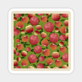 Tossed Apples on Green Fence Square Magnet