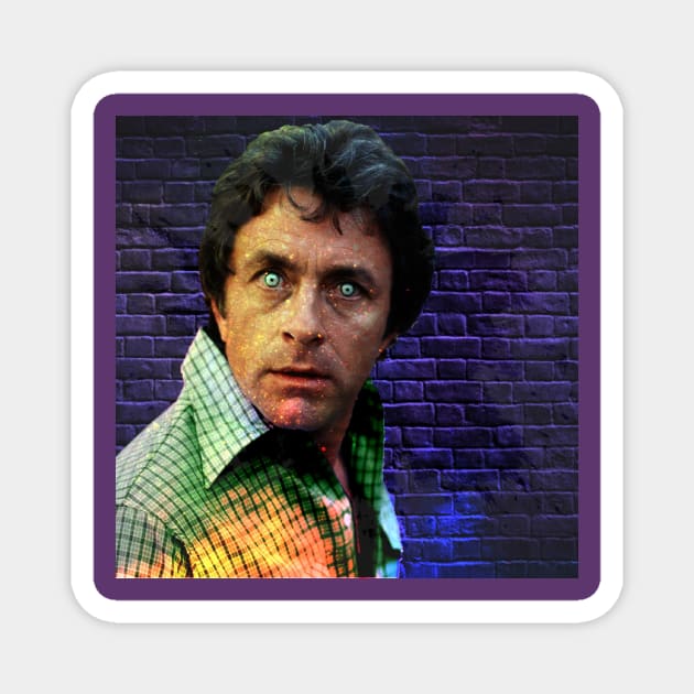 BILL BIXBY IS MY HULK "THE LONELY MAN" 1978-1990 Magnet by TSOL Games