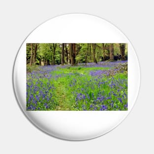 Bluebell Woods Basildon Park Berkshire UK Pin