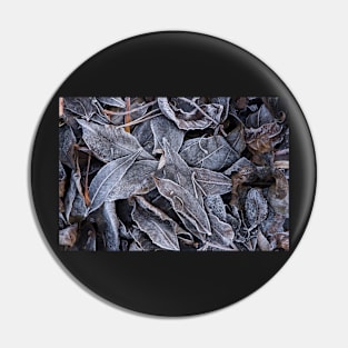 Winter Leaf Litter #1 Pin