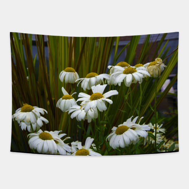 Daisies in The Garden Tapestry by KarenZukArt