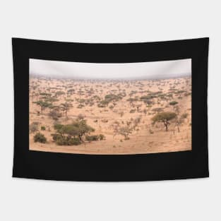 Serengeti Plains #2 Tapestry