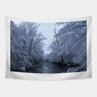 winter in ohio Tapestry