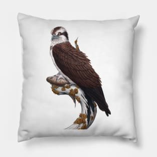 Osprey Pillow