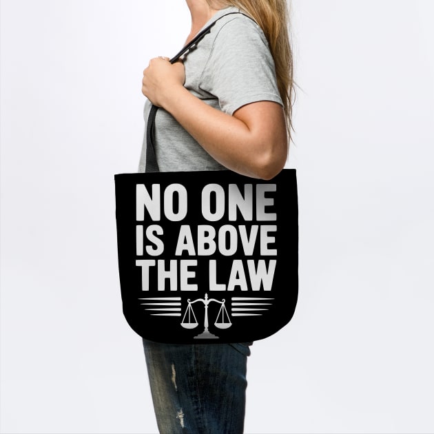 No One is Above the Law by Frank Ring