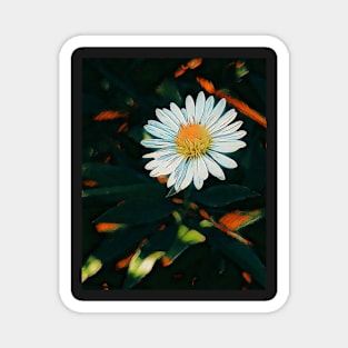 Tiny Daisy - Burnt Orange Magnet