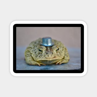 Toadally awesome Magnet