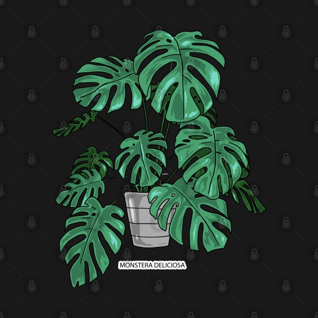 MONSTERA DELICIOSA by AMOS_STUDIO