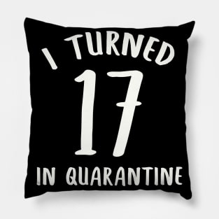 I Turned 17 In Quarantine Pillow