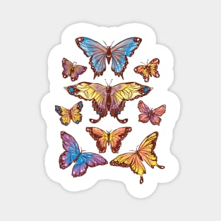 Butterflies - Beauty Caterpillars Colors Gift Magnet