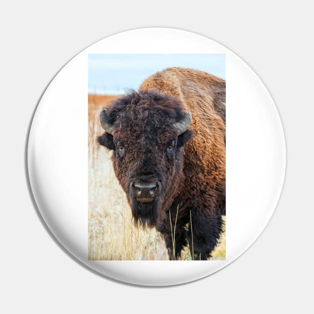 Bison Pin by StacyWhite