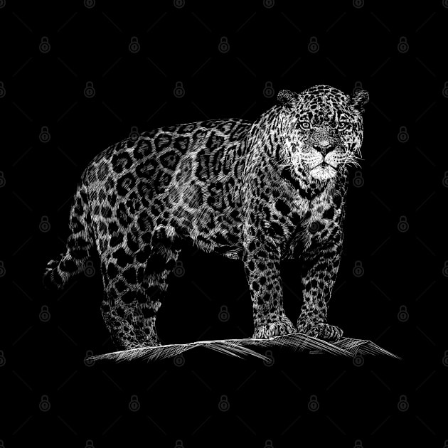 Leopard by sibosssr