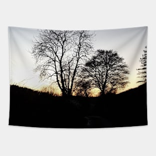 Country Twilight Tapestry
