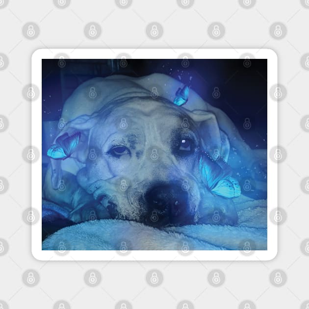 Dog and Blue Glowing Butterflies Magnet by Dad n Son Designs