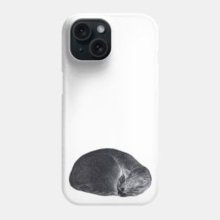 Rolled up lying, sleeping cat inversion Phone Case