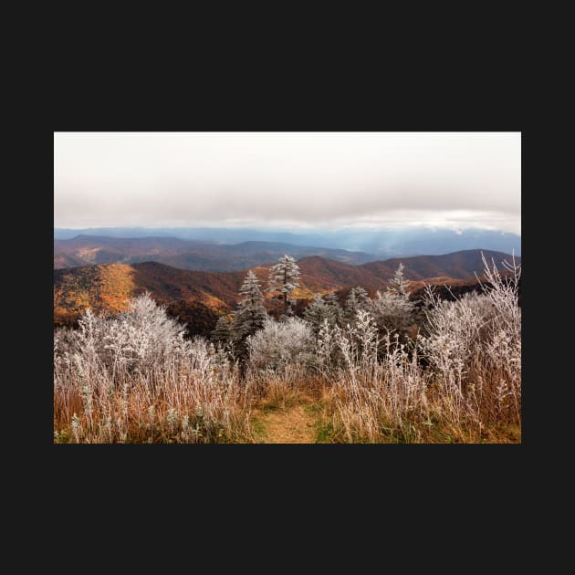 Frosted Autumn Smoky Mountains by somadjinn