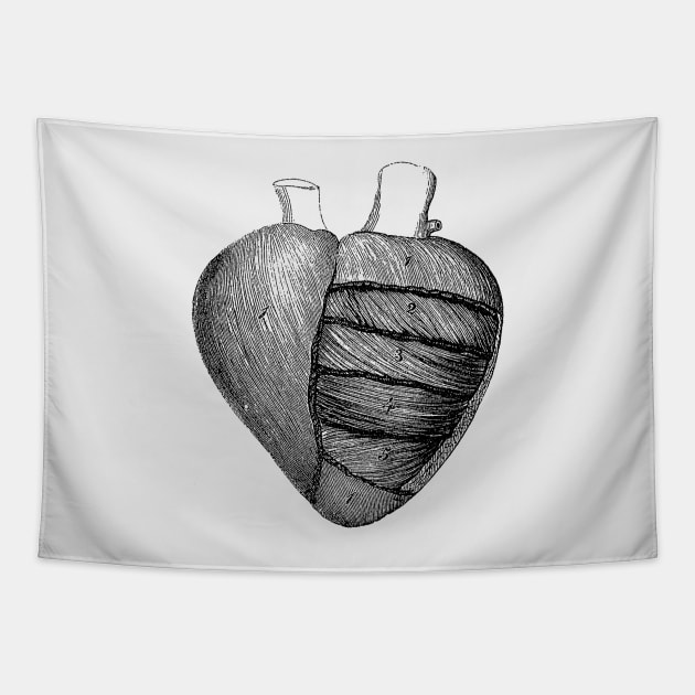 Heart Diagram - Vintage Anatomy Tapestry by Vintage Anatomy Prints