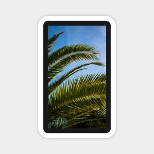 Palm Leaf Case Magnet