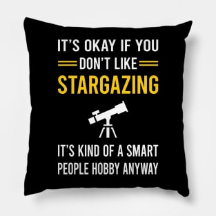 Smart People Hobby Stargazing Stargaze Pillow