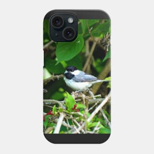 Black-capped Chickadee Hiding In A Bush Phone Case